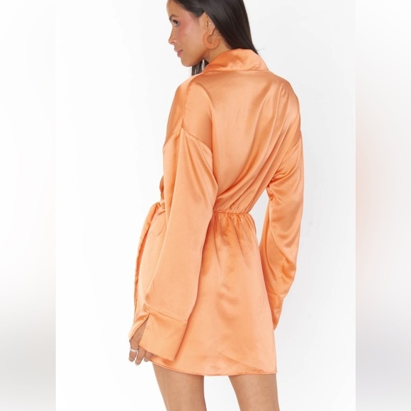 Show me Your Mumu Satin Collared Mini Dress - Picture 3 of 5